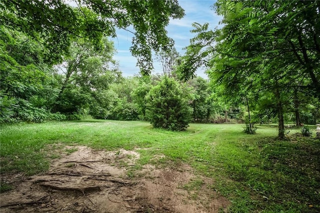 11301 Deer Haven Ln, Excelsior Springs, MO 64024 - view of green lawn