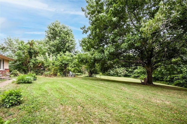11301 Deer Haven Ln, Excelsior Springs, MO 64024 - view of grassy yard