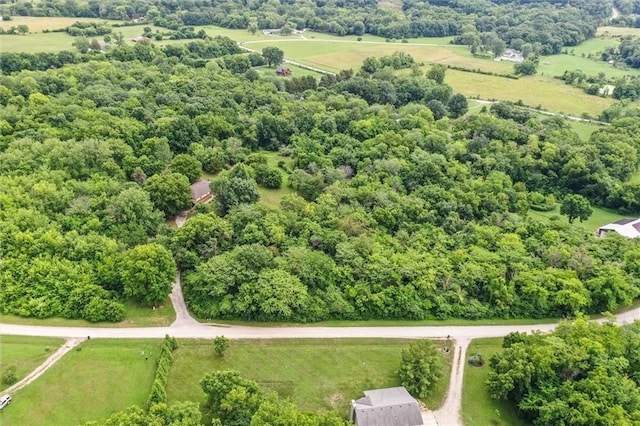 11301 Deer Haven Ln, Excelsior Springs, MO 64024 - view of rural area
