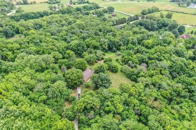 11301 Deer Haven Ln, Excelsior Springs, MO 64024 - drone / aerial view