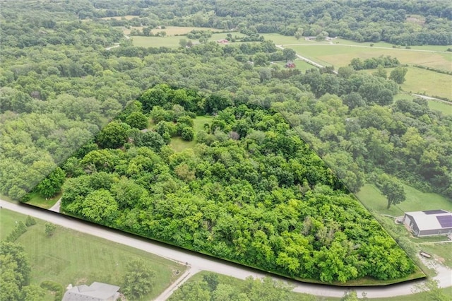 11301 Deer Haven Ln, Excelsior Springs, MO 64024 - bird's eye view of a forest