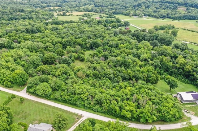11301 Deer Haven Ln, Excelsior Springs, MO 64024 - overview of rural landscape featuring a forest