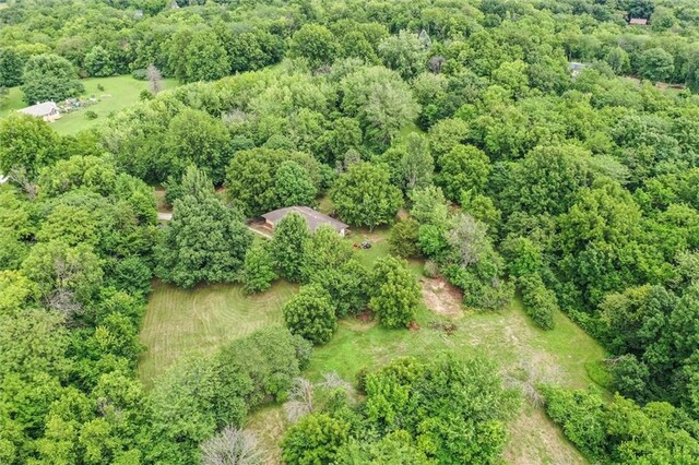 11301 Deer Haven Ln, Excelsior Springs, MO 64024 - aerial overview of property's location with a heavily wooded area