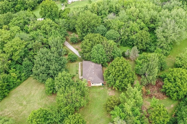 11301 Deer Haven Ln, Excelsior Springs, MO 64024 - drone / aerial view