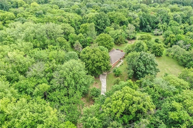 11301 Deer Haven Ln, Excelsior Springs, MO 64024 - aerial view of property and surrounding area with a heavily wooded area