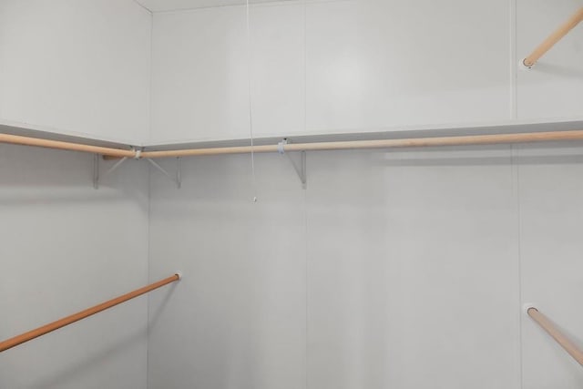 81 Enchanted Ln, Linn Valley, KS 66040 - view of spacious closet