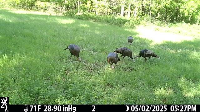 0000 2650th Rd, El Dorado Springs, MO 64744