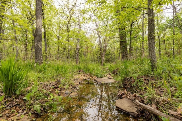 0000 2650th Rd, El Dorado Springs, MO 64744