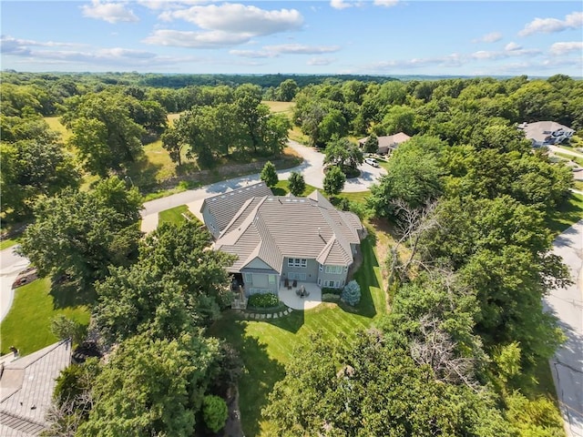 4915 NW Canyon Ct, Lees Summit, MO 64064 - view from above of property