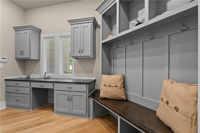 4915 NW Canyon Ct, Lees Summit, MO 64064 - mudroom featuring light wood-style flooring