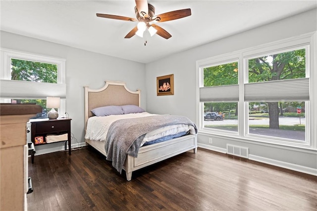 101 W 116th St, Kansas City, MO 64114 - bedroom featuring dark wood-style floors, multiple windows, and a ceiling fan