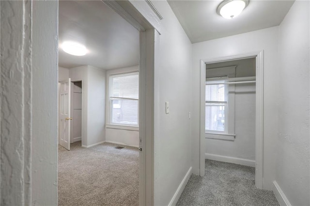 336 N 16th St, Kansas City, KS 66102 - hallway featuring carpet and plenty of natural light