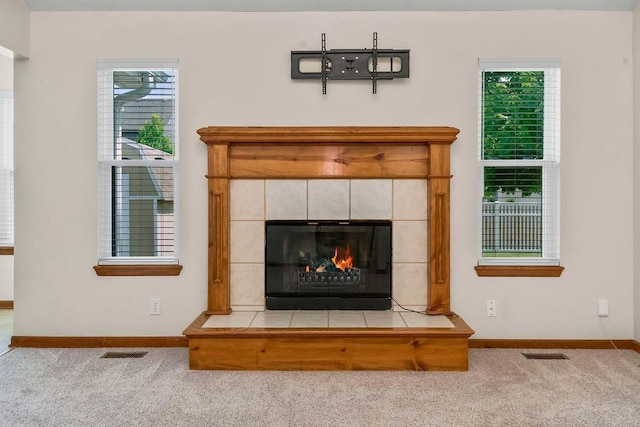 321 W Mockingbird St, Gardner, KS 66030 - detailed view of carpet floors and a tiled fireplace