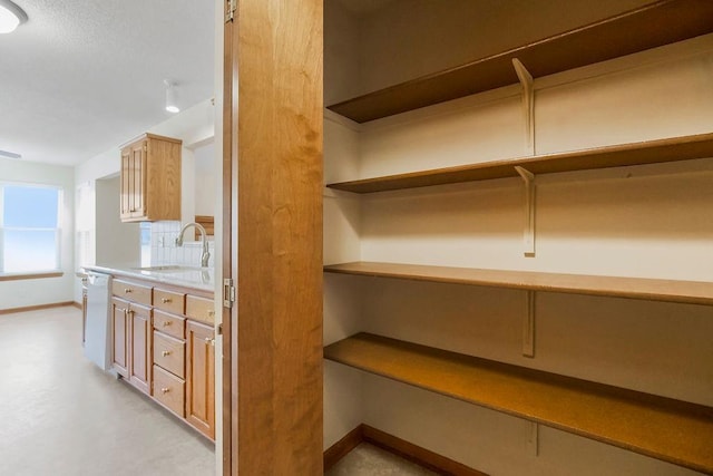 321 W Mockingbird St, Gardner, KS 66030 - pantry featuring a sink