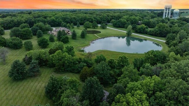 16025 S Knorpp Rd, Pleasant Hill, MO 64080 - photo 12