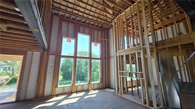 18421 Caenen St, Overland Park, KS 66013 - misc room with plenty of natural light and a high ceiling