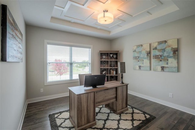 18421 Caenen St, Overland Park, KS 66013 - office area with dark wood-type flooring and a tray ceiling
