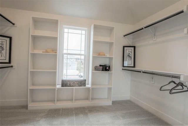 18421 Caenen St, Overland Park, KS 66013 - walk in closet with carpet