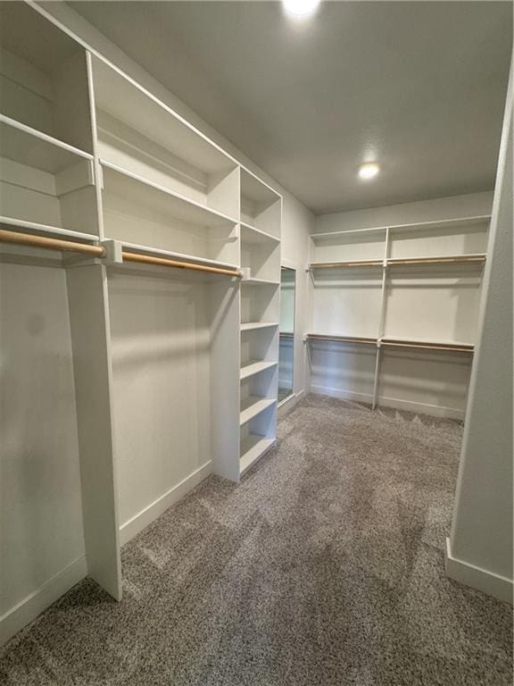 22415 87th Ter, Lenexa, KS 66227 - walk in closet featuring carpet floors