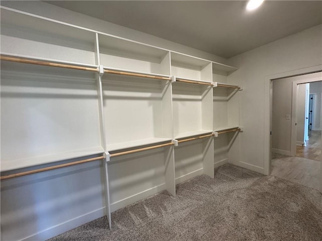 22415 87th Ter, Lenexa, KS 66227 - walk in closet with carpet floors