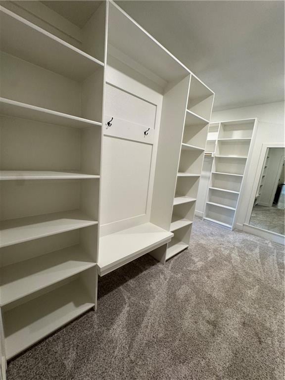 22415 87th Ter, Lenexa, KS 66227 - walk in closet featuring carpet