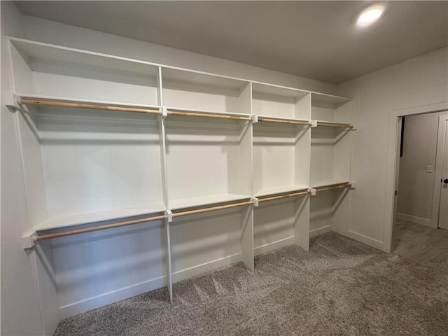 22415 87th Ter, Lenexa, KS 66227 - spacious closet featuring carpet flooring