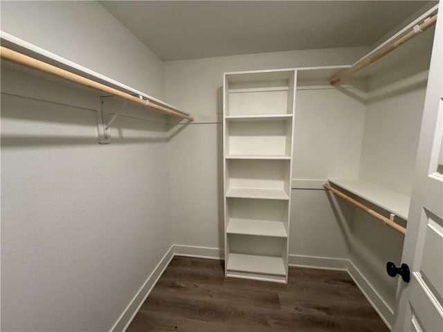 22415 87th Ter, Lenexa, KS 66227 - walk in closet with dark wood-style floors