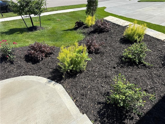 22415 87th Ter, Lenexa, KS 66227 - view of green lawn