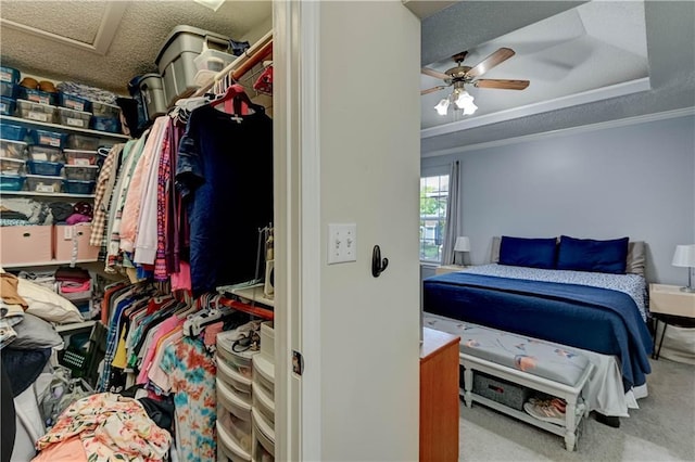 2013 NE Summerfield Ct, Blue Springs, MO 64029 - carpeted bedroom featuring ornamental molding, attic access, and a ceiling fan