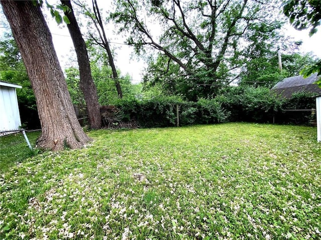 5433 E 29th St, Kansas City, MO 64128 - view of yard