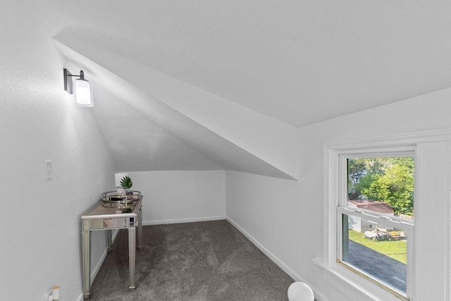 1233 S Pleasant St, Independence, MO 64055 - bonus room with lofted ceiling and dark carpet