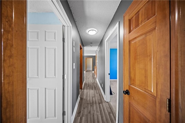 104 N Darrowby Dr, Raymore, MO 64083 - corridor featuring a textured ceiling and wood finished floors