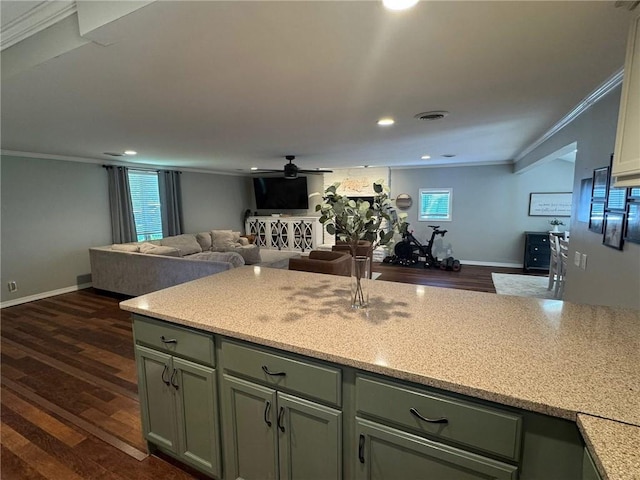 906 S Denman, Chanute, KS 66720 - kitchen with crown molding, open floor plan, ceiling fan, dark wood finished floors, and light countertops