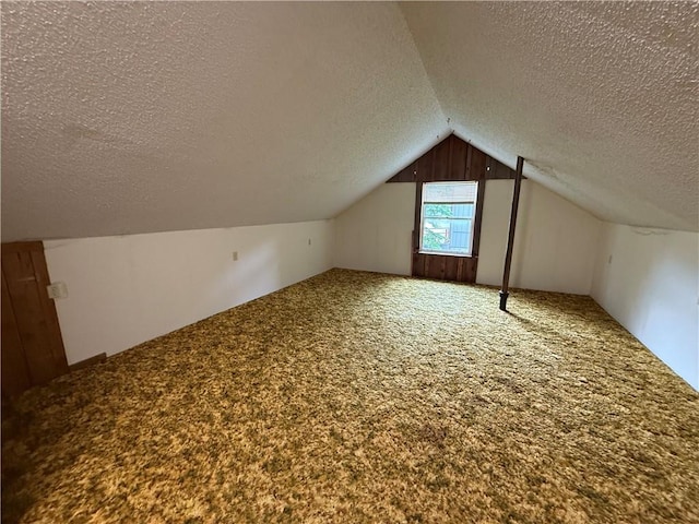 529 S Business Highway 13, Lexington, MO 64067 - additional living space featuring a textured ceiling, carpet flooring, and vaulted ceiling