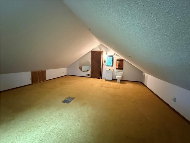 529 S Business Highway 13, Lexington, MO 64067 - bonus room with carpet floors, a textured ceiling, and lofted ceiling