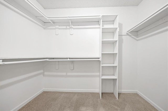 1467 E Orleans Dr, Olathe, KS 66062 - spacious closet featuring carpet floors