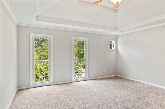 15614 Outlook St, Overland Park, KS 66223 - unfurnished room featuring a raised ceiling, plenty of natural light, carpet floors, a textured ceiling, and crown molding