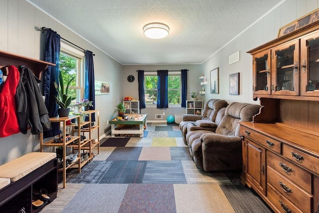 14224 E 36th St, Independence, MO 64055 - living area featuring carpet, ornamental molding, and a textured ceiling