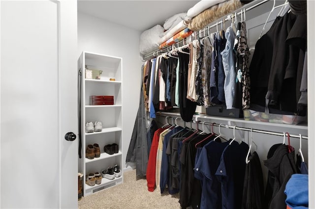 462 SE 90th Rd, Warrensburg, MO 64093 - walk in closet featuring carpet