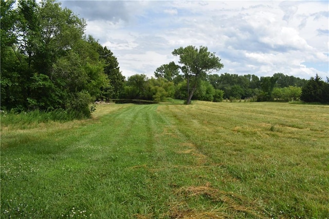 21570 Mclouth Rd, Mc Louth, KS 66054 - view of yard with a forest view