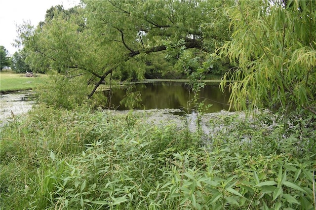 21570 Mclouth Rd, Mc Louth, KS 66054 - view of local wilderness with a large body of water