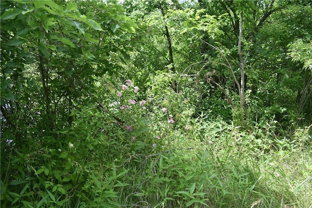 21570 Mclouth Rd, Mc Louth, KS 66054 - view of local wilderness