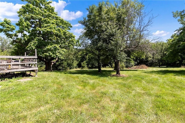 5205 E 221st St, Peculiar, MO 64078 - photo 6