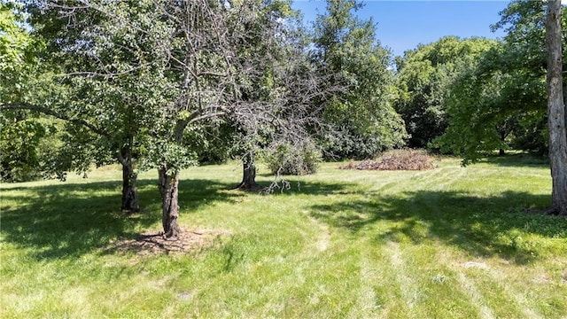 5205 E 221st St, Peculiar, MO 64078 - photo 11