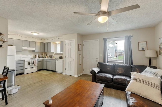 301-A N 3rd St, Odessa, MO 64076 - living room featuring a textured ceiling, light wood finished floors, and a ceiling fan