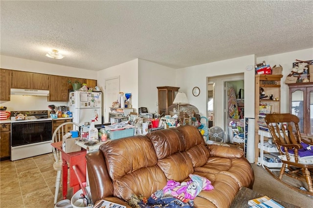 301-A N 3rd St, Odessa, MO 64076 - living area featuring a textured ceiling and healthy amount of natural light
