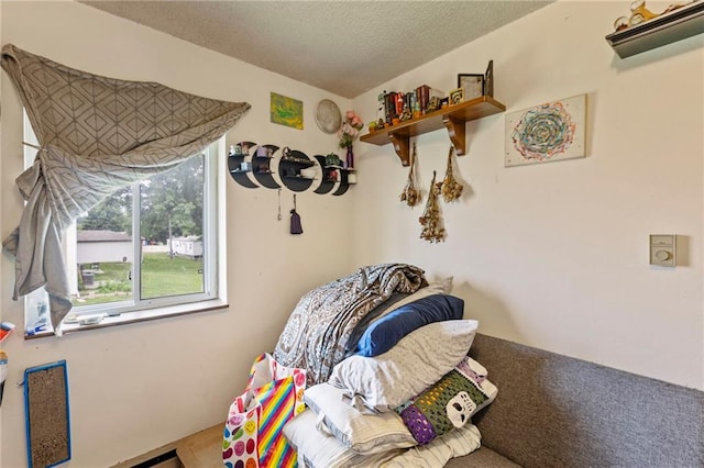 301-A N 3rd St, Odessa, MO 64076 - bedroom with a textured ceiling