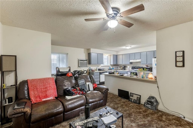 301-A N 3rd St, Odessa, MO 64076 - living area with a textured ceiling, carpet flooring, a ceiling fan, plenty of natural light, and an AC wall unit