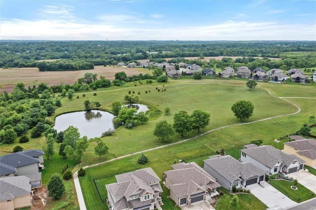 1013 Old Hickory Rd, Greenwood, MO 64034 - aerial perspective of suburban area with a large body of water