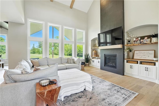 8422 NE 147th St, Liberty, MO 64068 - living area featuring high vaulted ceiling, a large fireplace, and light wood-style flooring
